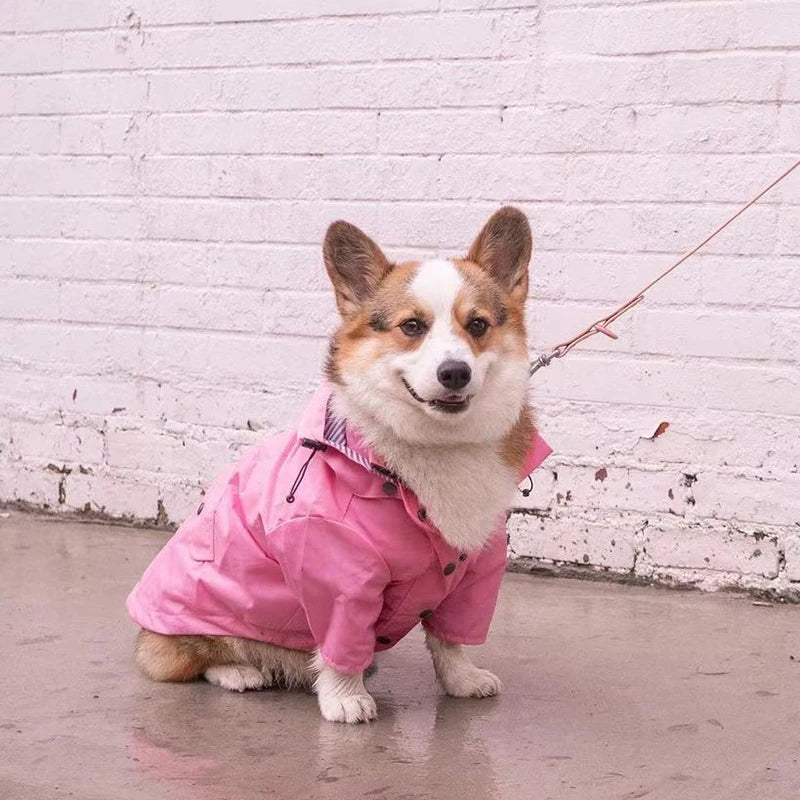 Double-Layered Dog Rain Jacket with Pockets & Hood