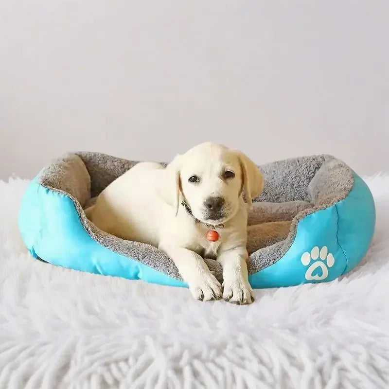Everyday Comfort Pet Bed