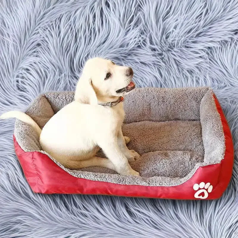 Everyday Comfort Pet Bed